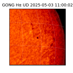 gong - 2025-05-03T11:00:02