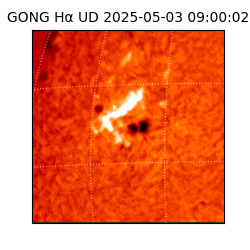 gong - 2025-05-03T09:00:02