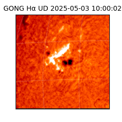 gong - 2025-05-03T10:00:02