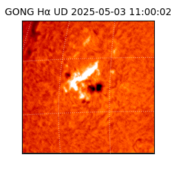 gong - 2025-05-03T11:00:02