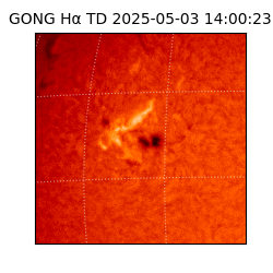 gong - 2025-05-03T14:00:23