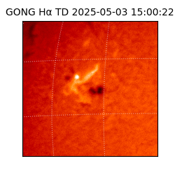 gong - 2025-05-03T15:00:22