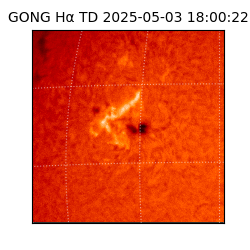 gong - 2025-05-03T18:00:22