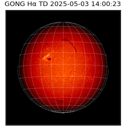 gong - 2025-05-03T14:00:23