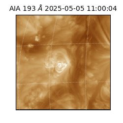 saia - 2025-05-05T11:00:04.843000