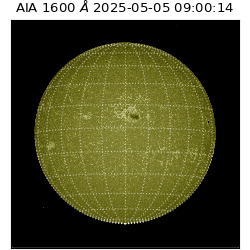 saia - 2025-05-05T09:00:14.124000