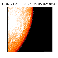 gong - 2025-05-05T02:38:42