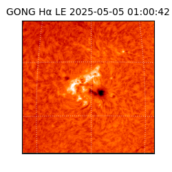 gong - 2025-05-05T01:00:42