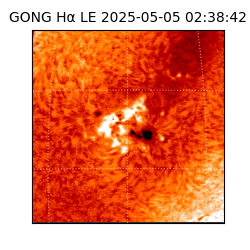gong - 2025-05-05T02:38:42