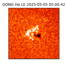 gong - 2025-05-05T05:00:42