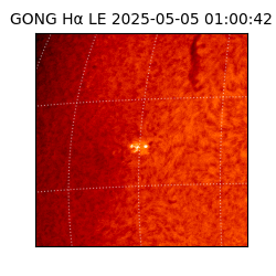 gong - 2025-05-05T01:00:42