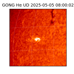 gong - 2025-05-05T08:00:02