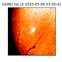 gong - 2025-05-06T03:00:42