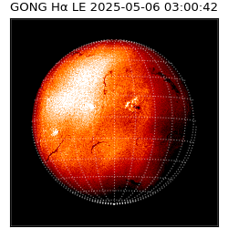 gong - 2025-05-06T03:00:42