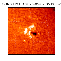 gong - 2025-05-07T05:00:02