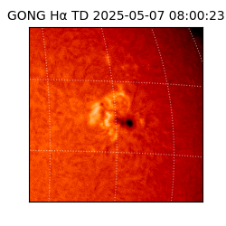gong - 2025-05-07T08:00:23