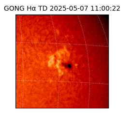 gong - 2025-05-07T11:00:22