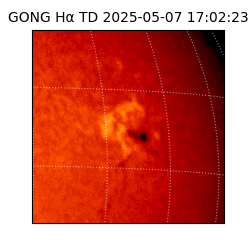 gong - 2025-05-07T17:02:23