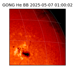 gong - 2025-05-07T01:00:02