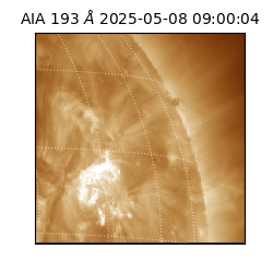 saia - 2025-05-08T09:00:04.843000