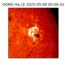 gong - 2025-05-08T05:00:42