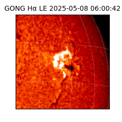 gong - 2025-05-08T06:00:42