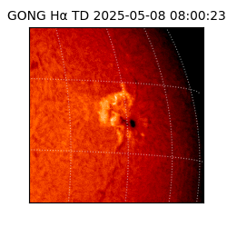 gong - 2025-05-08T08:00:23