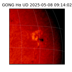 gong - 2025-05-08T09:14:02