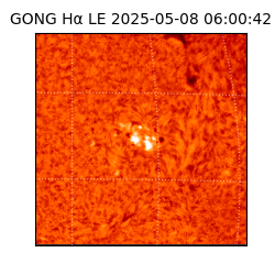 gong - 2025-05-08T06:00:42