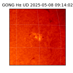 gong - 2025-05-08T09:14:02