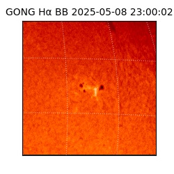 gong - 2025-05-08T23:00:02