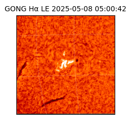 gong - 2025-05-08T05:00:42