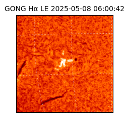 gong - 2025-05-08T06:00:42