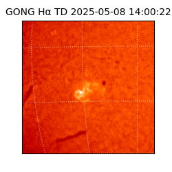 gong - 2025-05-08T14:00:22