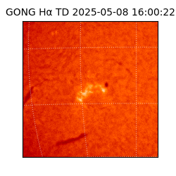 gong - 2025-05-08T16:00:22