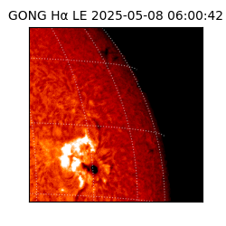 gong - 2025-05-08T06:00:42