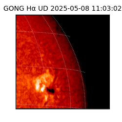 gong - 2025-05-08T11:03:02