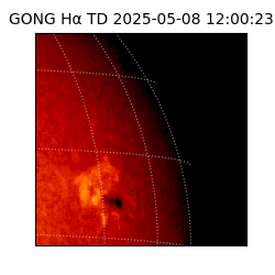 gong - 2025-05-08T12:00:23