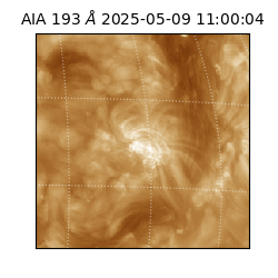 saia - 2025-05-09T11:00:04.843000