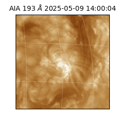 saia - 2025-05-09T14:00:04.843000