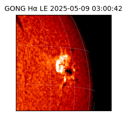 gong - 2025-05-09T03:00:42