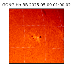 gong - 2025-05-09T01:00:02