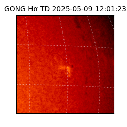 gong - 2025-05-09T12:01:23