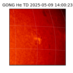 gong - 2025-05-09T14:00:23