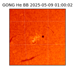 gong - 2025-05-09T01:00:02