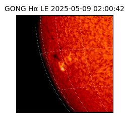 gong - 2025-05-09T02:00:42