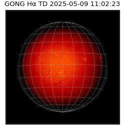 gong - 2025-05-09T11:02:23