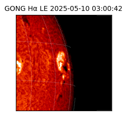 gong - 2025-05-10T03:00:42