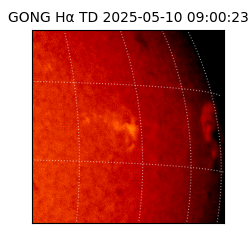 gong - 2025-05-10T09:00:23