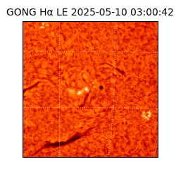 gong - 2025-05-10T03:00:42